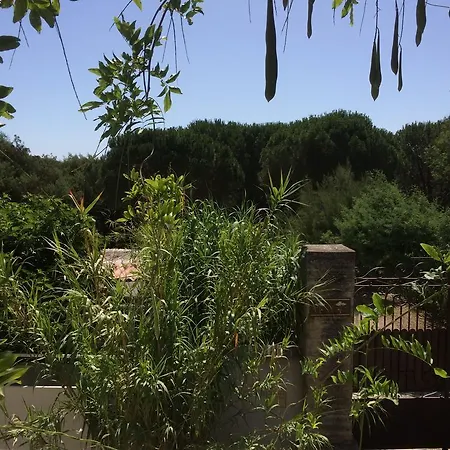 Casa de Férias Maison D'elie Saint-Tropez