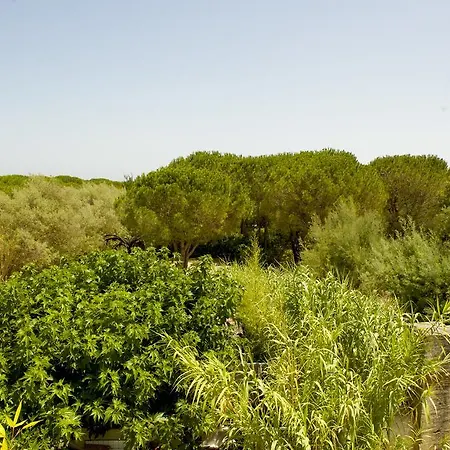 Maison D'elie Saint-Tropez