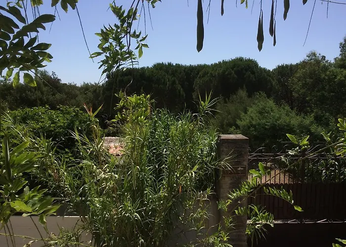 بيت للعطل Maison D'elie سان تروبيه