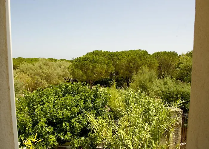 Maison D'elie سان تروبيه